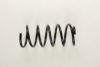 OPEL 90538931 Coil Spring